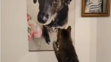 Reprodução / Redes sociais