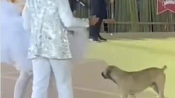 Reprodução / Redes sociais