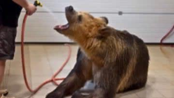 Reprodução / Redes sociais