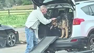 Reprodução / Redes sociais