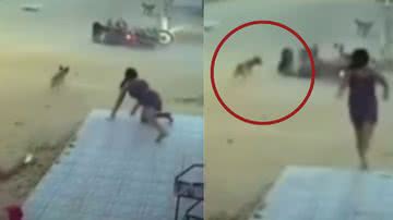 Reprodução / Redes sociais