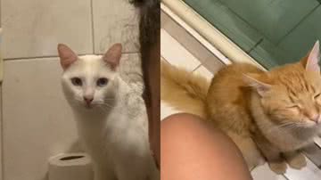 Reprodução / Redes sociais