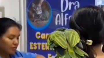 Reprodução / Redes sociais