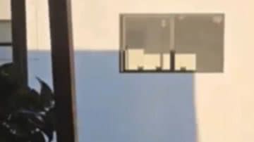 Reprodução / Redes sociais