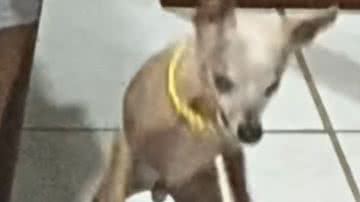 Reprodução / Redes sociais