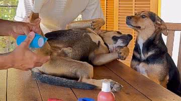 Reprodução / Redes sociais