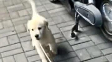 Reprodução / Redes sociais