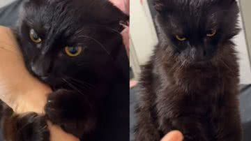 Reprodução / Redes sociais