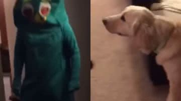 Reprodução / Redes sociais