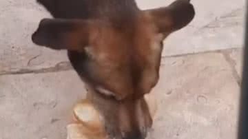 Reprodução / Redes sociais