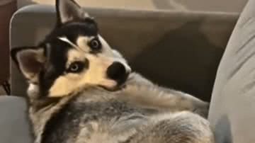 Reprodução / Redes sociais