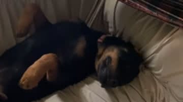 Reprodução / Redes sociais