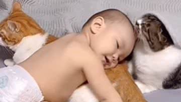 Reprodução / Redes sociais