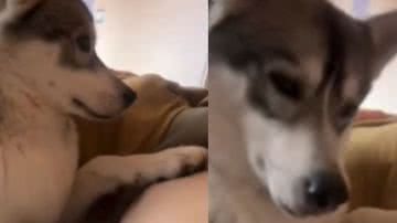 Reprodução / Redes sociais