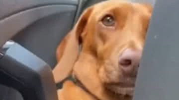 Reprodução / Redes sociais