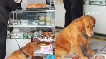 Reprodução / Redes sociais