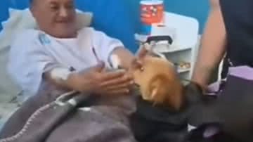 Reprodução / Redes sociais