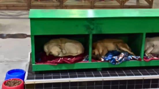 Reprodução / Redes sociais / CRICIÚMA LIGADA