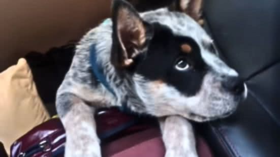 Reprodução / Redes sociais