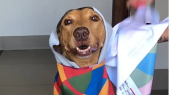 Reprodução / Redes sociais