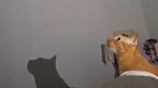 Reprodução / Redes sociais