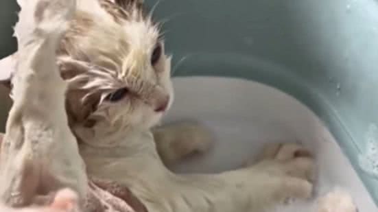 Reprodução / Redes sociais