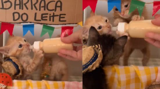 Reprodução / Redes sociais