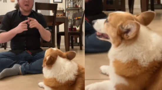 Reprodução / Redes sociais