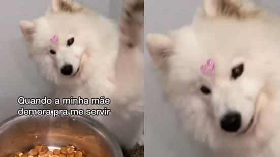 Reprodução / Instagram