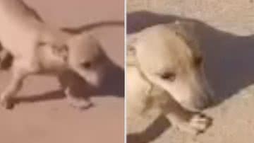 Reprodução / Redes Sociais