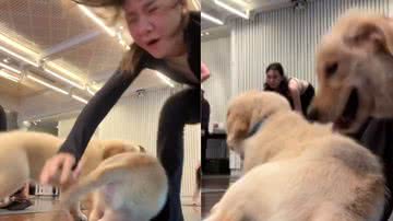 Reprodução / Redes Sociais