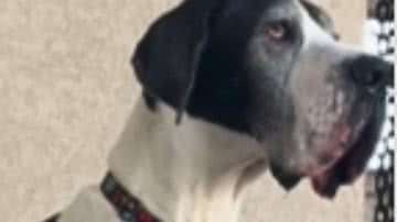 Reprodução / Redes sociais