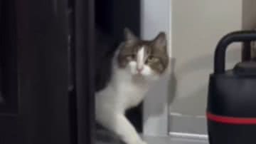 Reprodução / Instagram