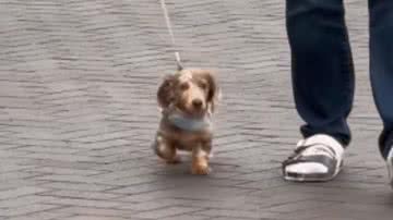 Reprodução / Instagram