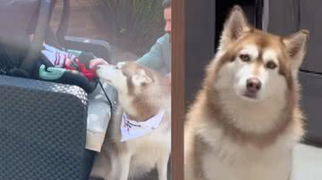 Reprodução / Redes Sociais