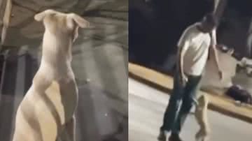 Reprodução / Redes Sociais