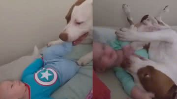 Reprodução / Redes Sociais