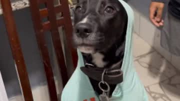 Reprodução / Redes Sociais