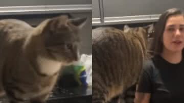 Reprodução / Redes Sociais