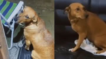 Reprodução / Instagram