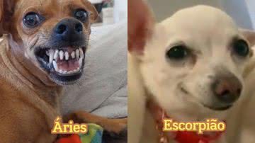 Reprodução / Instagram