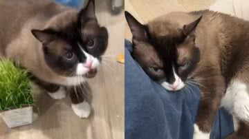 Reprodução / Instagram