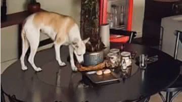 Reprodução / Instagram