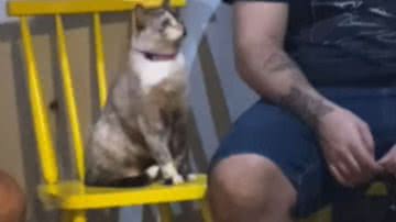 Reprodução / Redes sociais