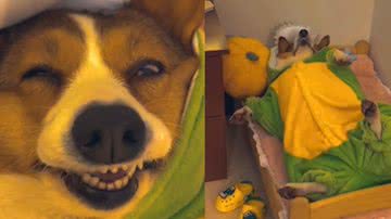 Reprodução / Instagram