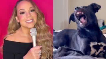 Reprodução / Redes Sociais