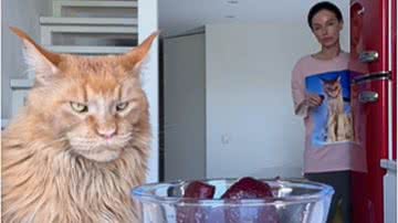 Reprodução / Redes sociais