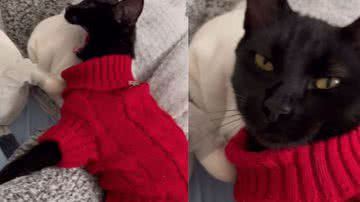 Reprodução / Redes sociais