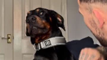 Reprodução / Redes Sociais