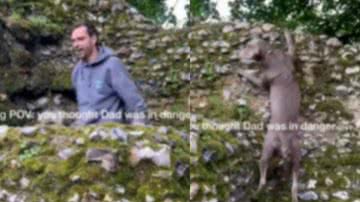 Reprodução / Instagram